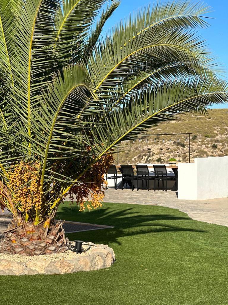 Los Palmitos Agua Amarga  Ngoại thất bức ảnh